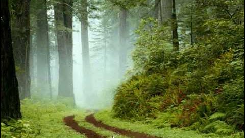 Another custom firmware video 6.00 to m33  (psp slim/phat)