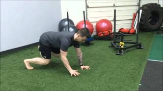 Sprawl with Alternating Hand and Leg Lift