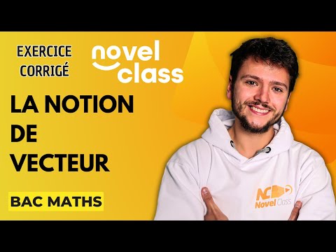 BAC : COMPRENDRE LA NOTION DE VECTEUR