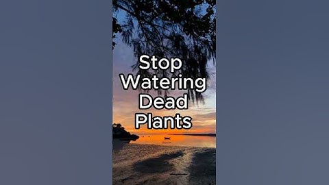 Denzel Washington: I Match Your Energy. Period. (Protect Your Peace) #viral