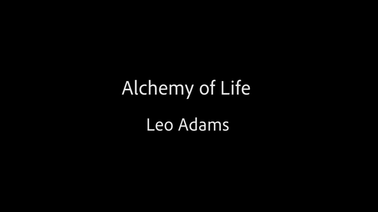 Alchemy of Life - Leo Adams