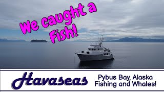 Halibut Fishing and Whales in Pybus Bay / MV Havaseas  Nordhavn 55