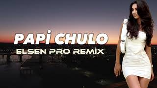 Elsen Pro - Papi Chulo Resimi