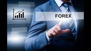 tutorial untuk pemula yang ingin bermain forex agar untung terus