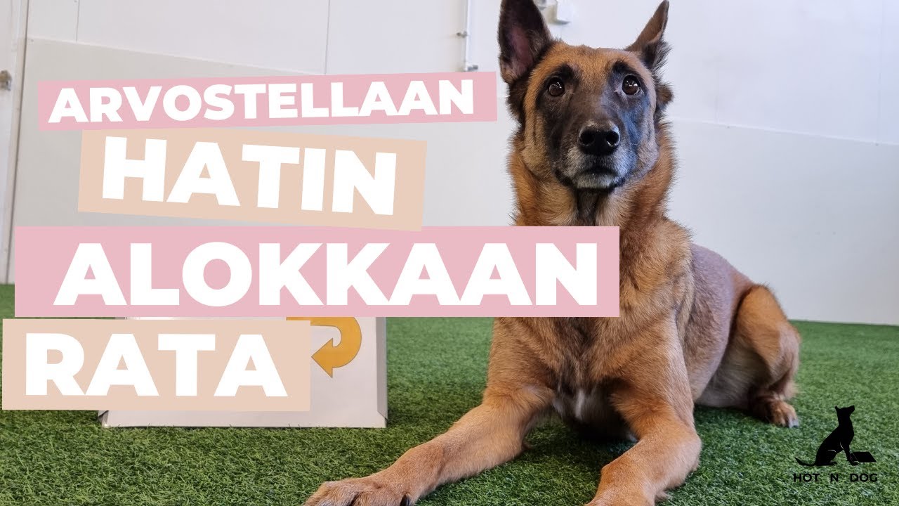 #1 Rally-tokon alokasluokan rata arvosteltuna | Hati