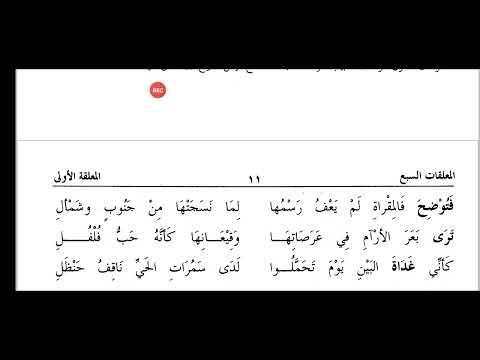 شرح معلقة امرئ القيس 2 محمد بن مصطفى السقاف