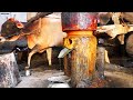 Traditional Mustard Oil Making Process