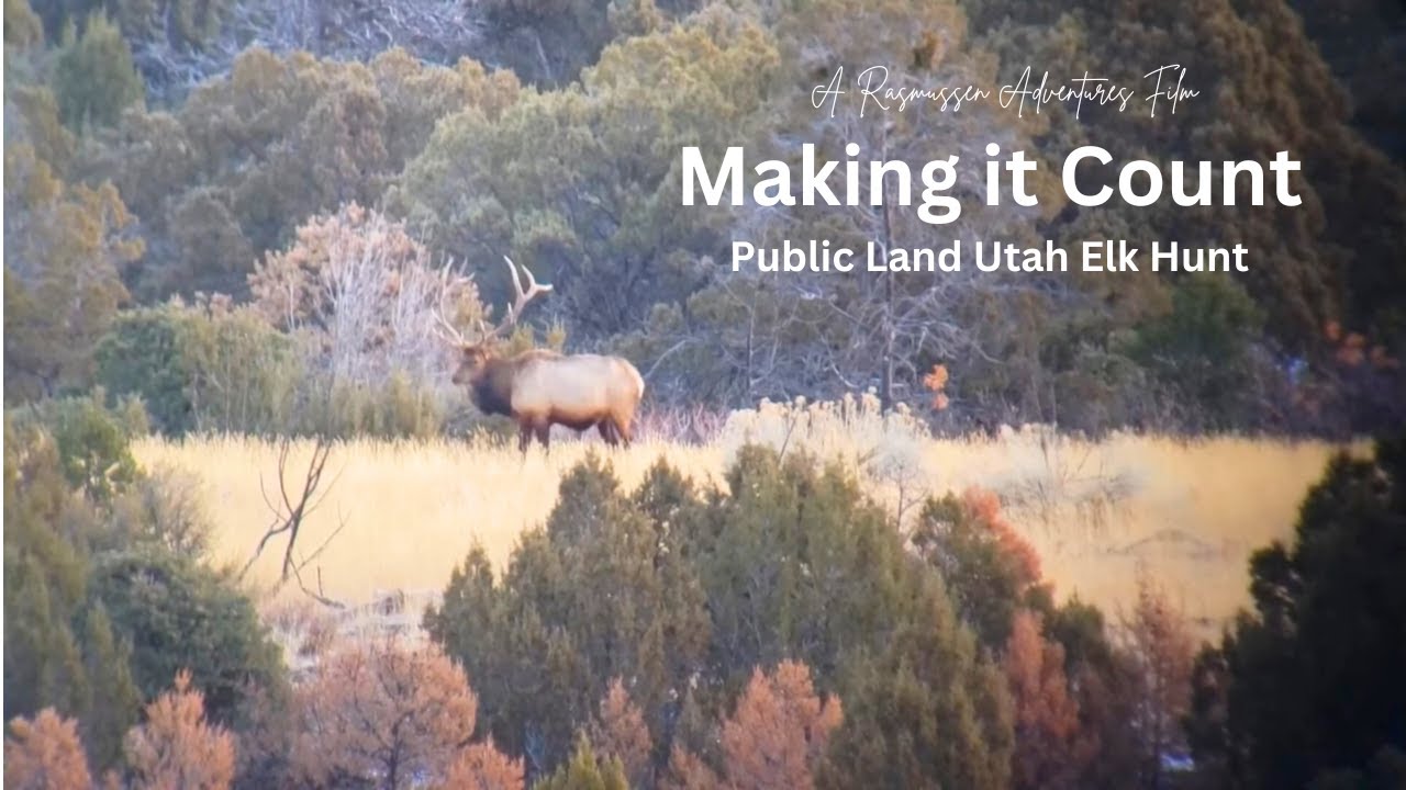 Making it Count | A Utah Public Land Elk Hunt |