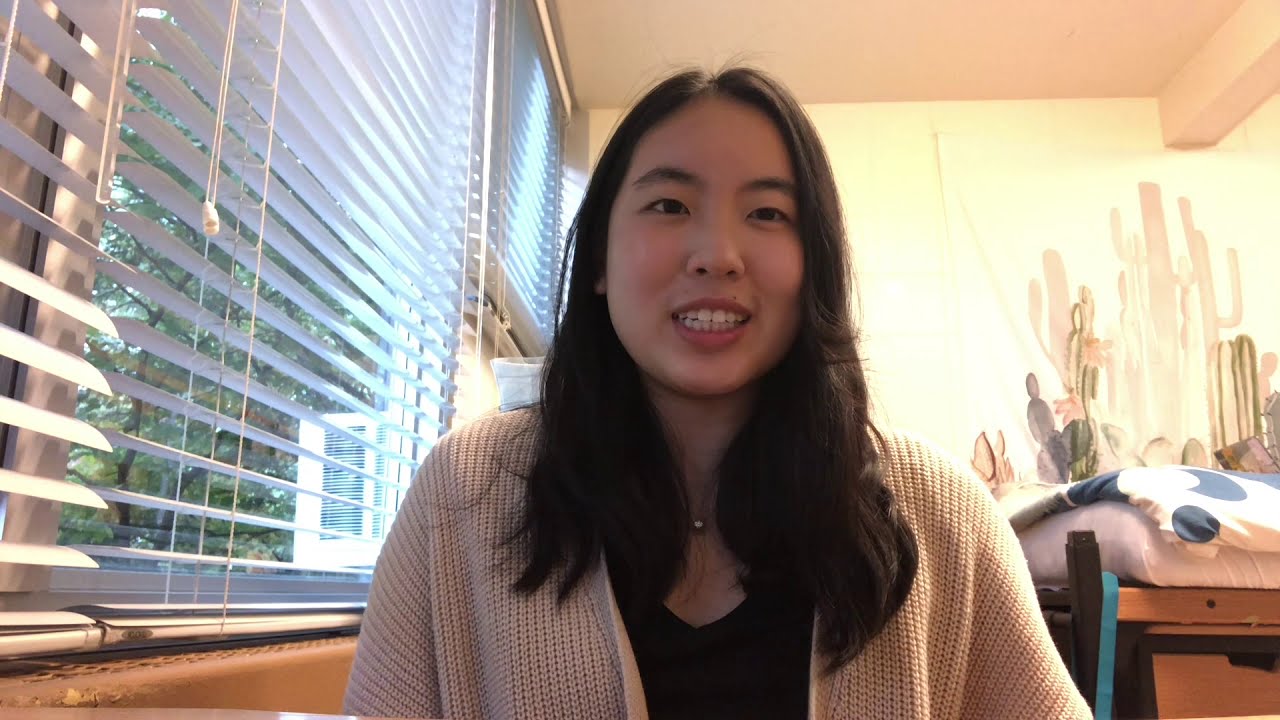 2020 World Food Prize Borlaug-Ruan Intern Allison Chhay Shares Her ...