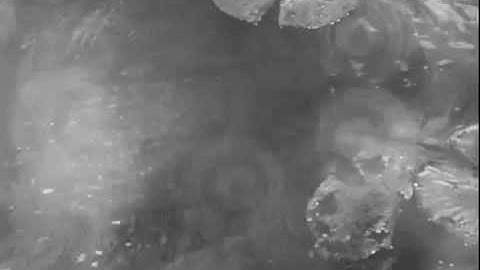 dr jekyll and mr hyde, hallucination scene