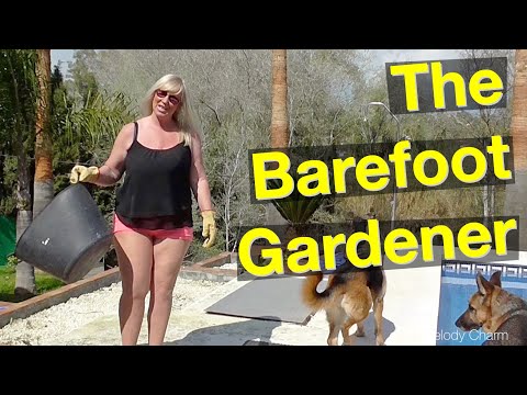 The Barefoot Gardener