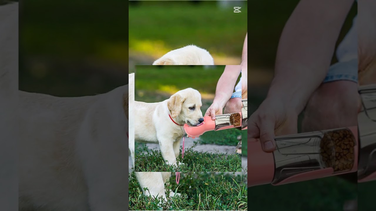 💥Best Dog Water & Food Bottle 🐶 | Portable Pet Travel Bottle Review✨ 