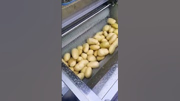 @máy rửa củ cải @máy cạo vỏ @máy rửa củ quả @máy rửa dành cho thợ nhà bếp