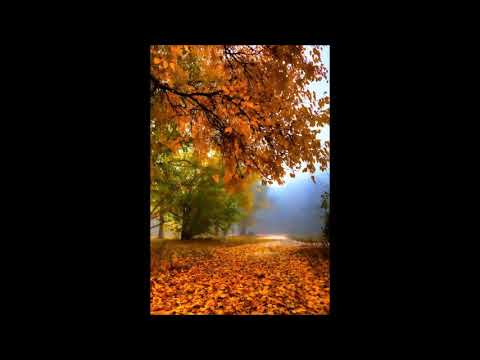 ფოთოლცვენა