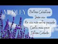 MEDLEY PORTÕES CELESTIAIS, JOÃO VIU, NO CÉU NÃO ENTRA PECADO, CANTA MEU POVO & DITOSA CIDADE