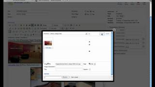 Celebrity Lesson 4 how to add tool tip images Wealth