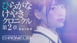 ひらがなけやきクロニクル第2章 / 最後の記録（41min）