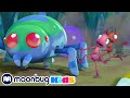 6 legged freaks  antiks  moonbug kids  funny cartoons and animation