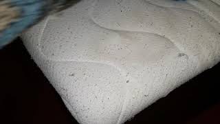 Cleaner for soft surfaces (for mattress cleaning and stain removal) screenshot 4