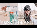 WHAT'S IN OUR PUPPY PACKS | Goldendoodle Breeder 101