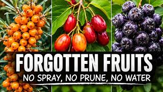 PLANT THESE 21 Forgotten Fruits You Never Have To Spray, Prune, Or Water