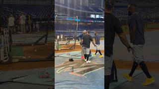 Randy Arozarena, José Siri Y Harold Ramírez Compartiendo En El Loandepot Park