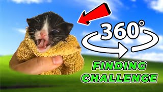 360 Kitten Meow - Find Kitten Meow - Vr 360 Video