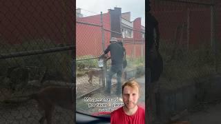 No pudimos ignorarla: El rescate de una perrita sedienta #reaccion