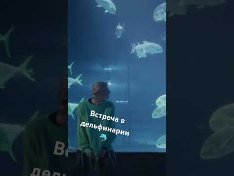 🐬Парень в дельфинарии познакомился с необычной девушкой #short #рек #дельфинарий #пара #любовь