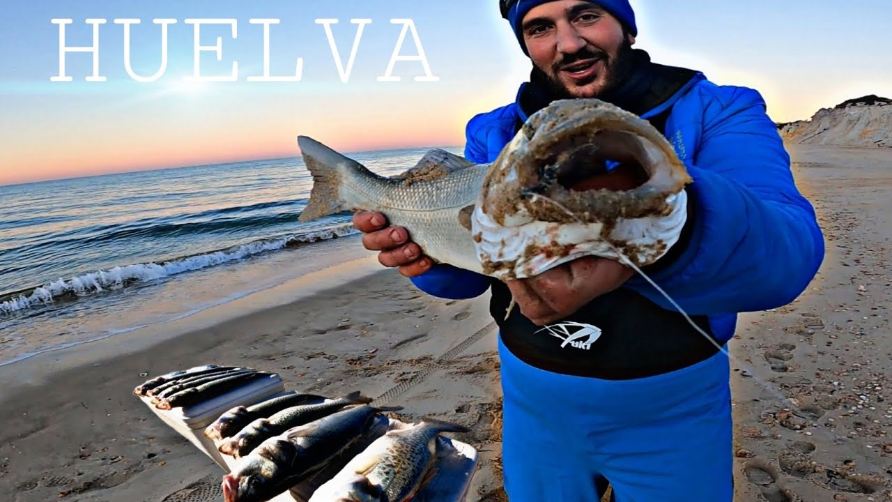 DEPREDADORES AL VIVO EN HUELVA