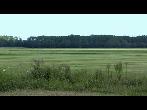 Flagler County appeals Bunnell landfill approval amid secrecy concerns