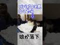 赤ちゃんの見守りを怠ったパパの末路。
