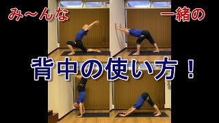 ヨガのグループレッスンで伸び悩んでいる人必見！これが分かるとヨガが激しく上達します【腕の上げ方一つで世界が変わる！】