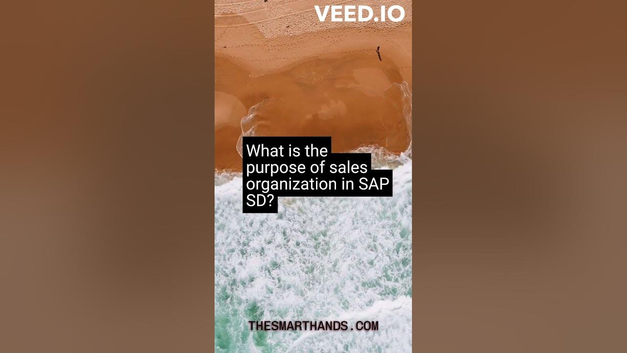 2 What is the purpose of Sales Organization in SAP SD? YouTube