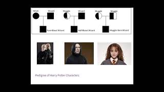Pedigree Chart Notes