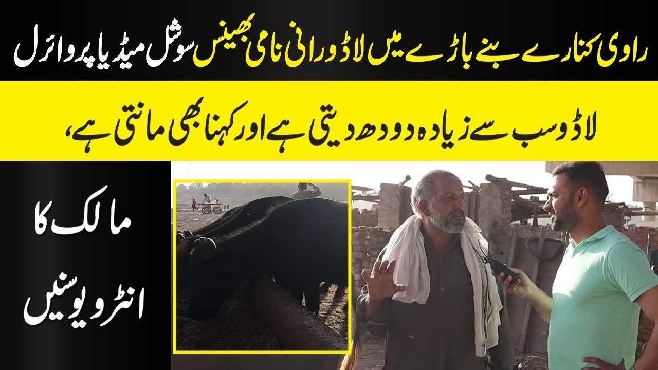 Ravi Kinary Bany Baary Ma LadoRani Nami Bhens | NPG Wardaat | Talha Naveed