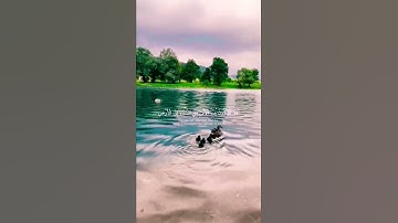 #قرآن #تلاوة #اكسبلور #القرآن_الكريم #ترند #تلاوات #تيك_توك #قران_كريم #سناب #سفر