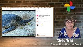 Shared Group Albums in Google Photos - Fun With Photos Podcast 13 screenshot 4