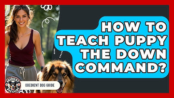 How To Teach Puppy The Down Command? - Obedient Dog Guide