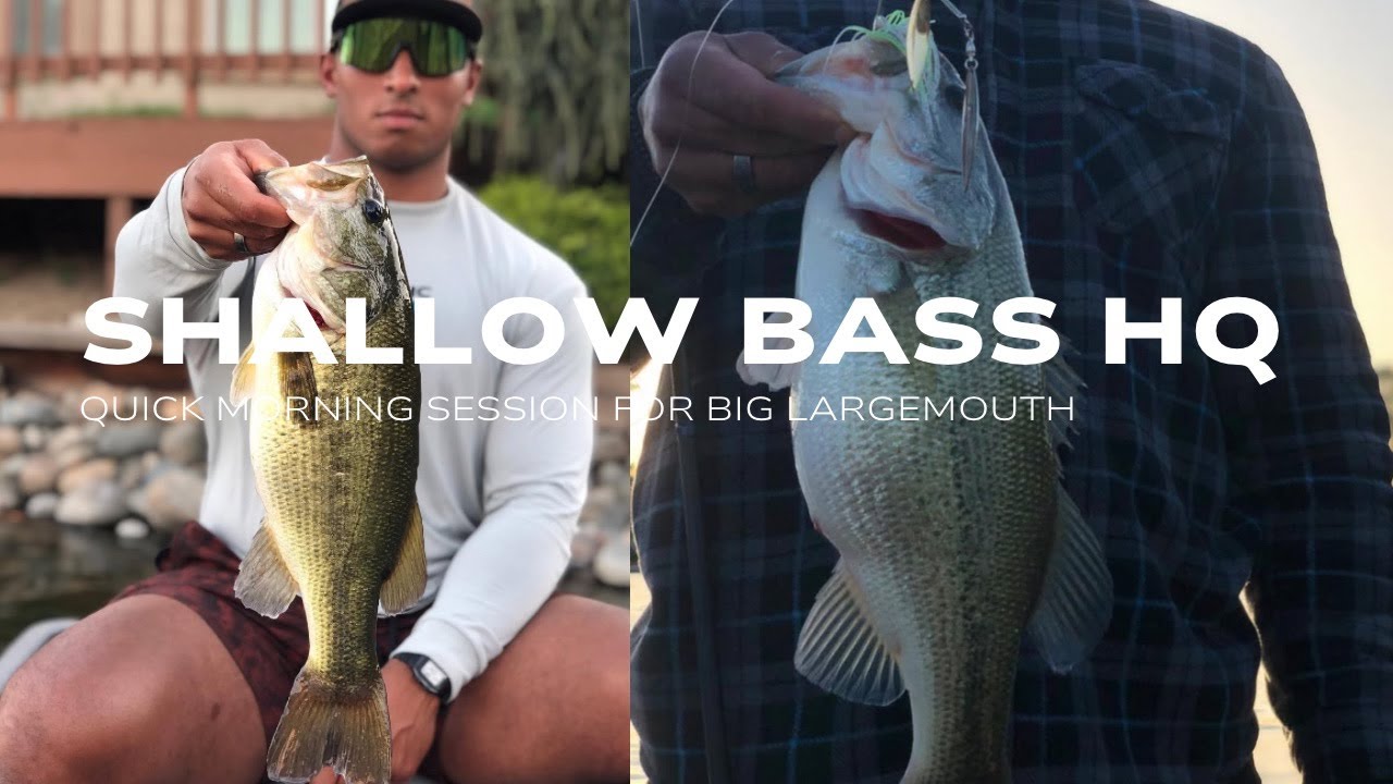 SHALLOW BASS FISHING HQ #fishing #bassfishing