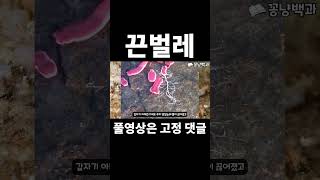 겁도 없이 만졌다가 순식간에 전염되는 실사판 베놈 생물체 #Shorts