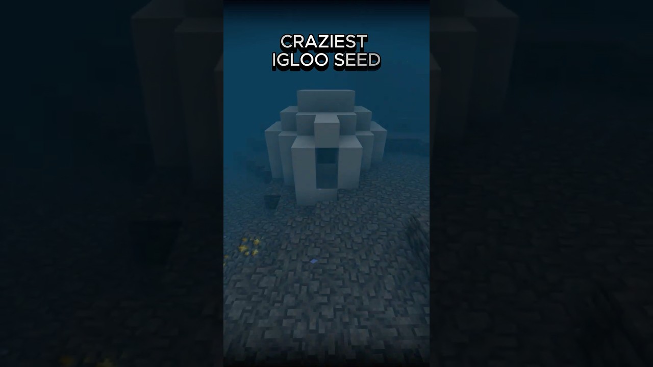 Minecraft Craziest Igloo Seed  