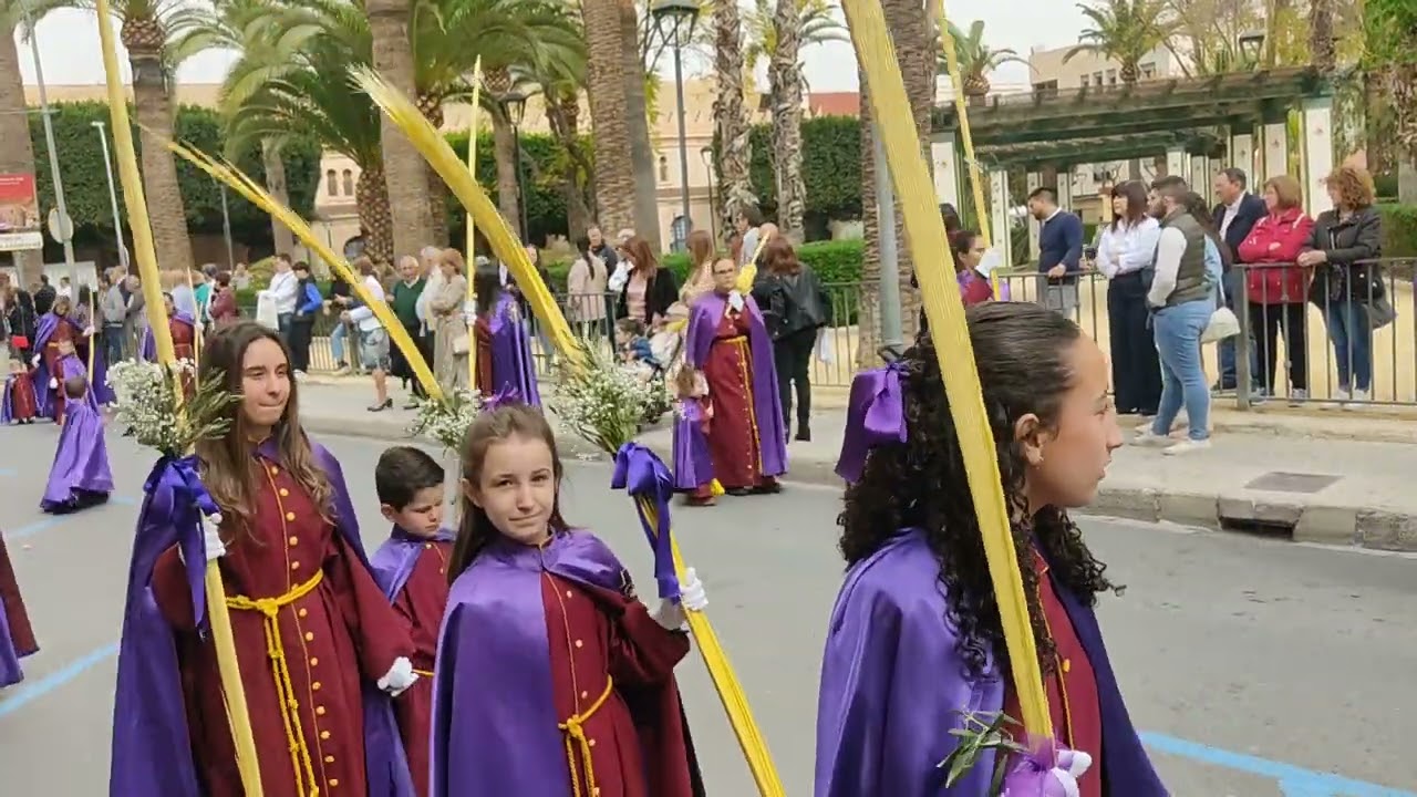 Telenegro - Procesión de Las Palmas, Domingo de ramos 24 de marzo 2024 (aspe) Alicante.