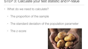 1-Proportion Z-Tests