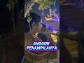 Niken salindry tampil anggun di Merbabu art fest ke 6 #nikensalindri #nikensalindry #youtubeshorts