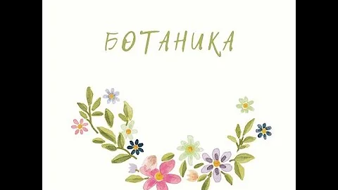 Лекция №8 по ботанике 