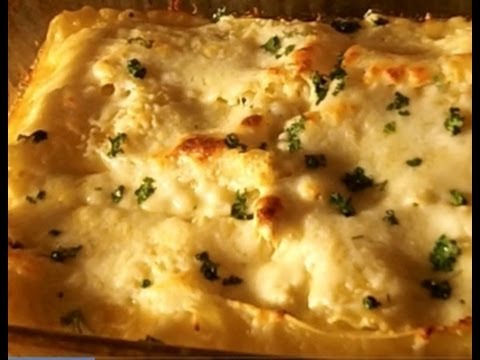 Chicken Alfredo Lasagna Best Family Recipes