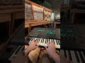 Memorymoog LAMM + Matrix-12 #synth