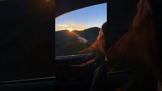 Let It All Go Tiktok Joe Adamek