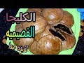 الكليجا القصيميه من مطبخ خلود